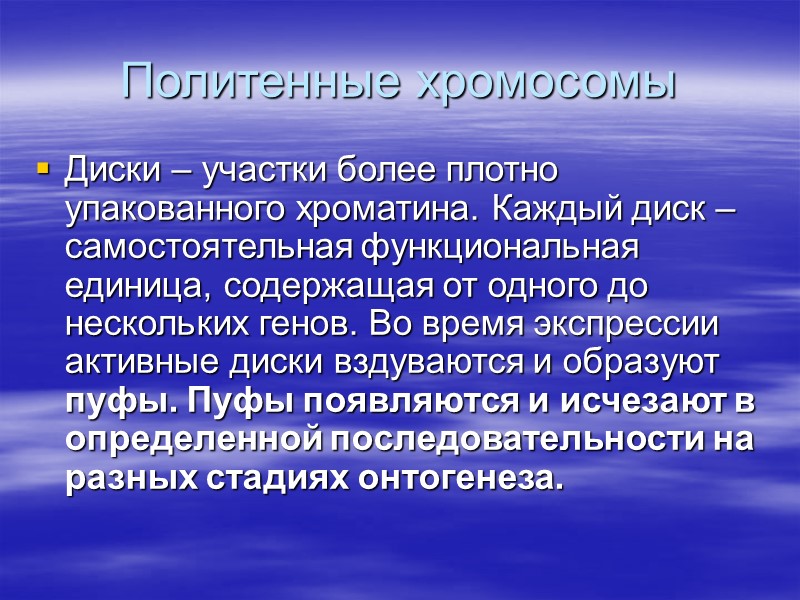 Политенные хромосомы Диски – участки более плотно упакованного хроматина. Каждый диск – самостоятельная функциональная